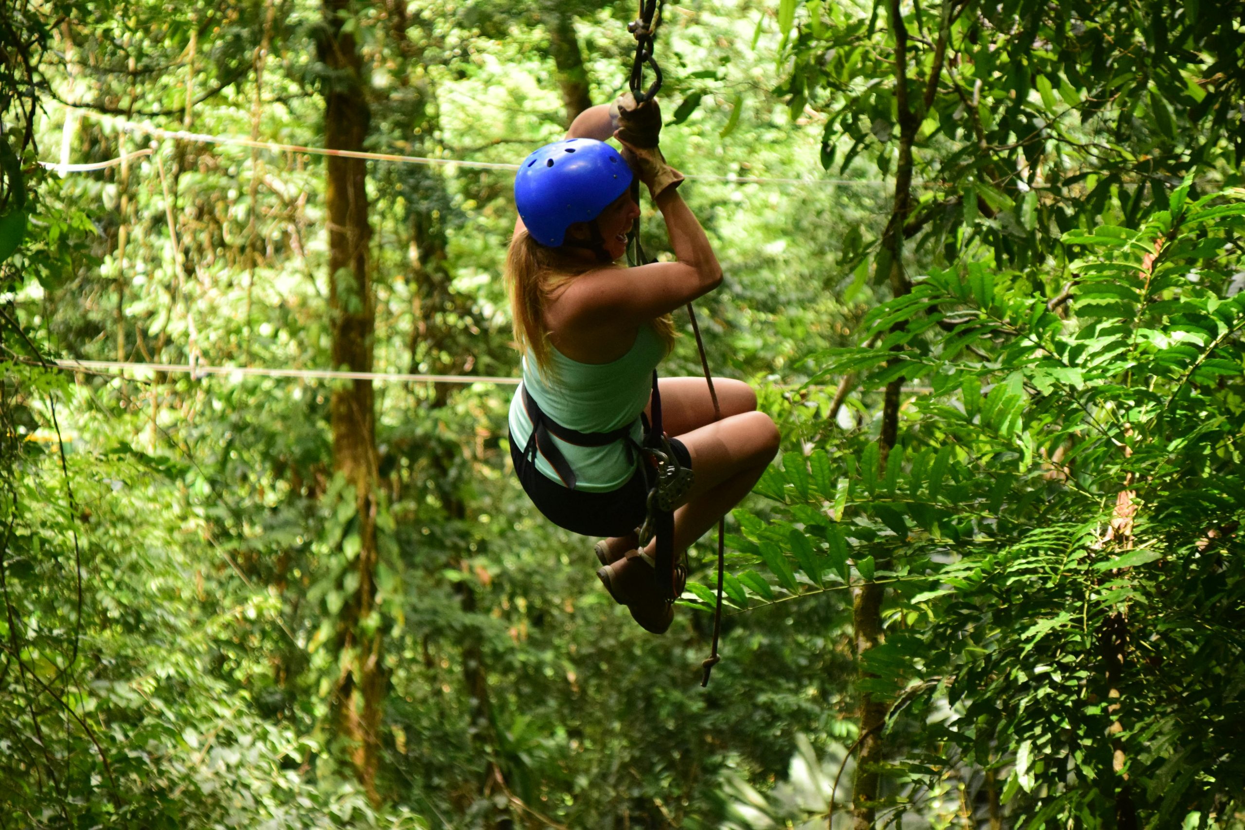 ZIPLINE